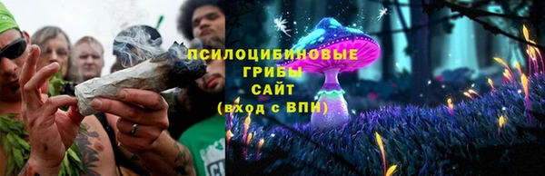 ПСИЛОЦИБИНОВЫЕ ГРИБЫ Алзамай